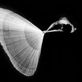 Kambodscha, 3. Platz, National Awards  Der Tonle Sap See in Kambodscha ist der größte See Südostasiens und eines der fischreichsten Binnengewässer der Erde. Für Millionen von Menschen ist er eine unverzichtbare Nahrungsquelle. Das Bild zeigt einen Mann beim Fischfang mit einem traditionellen Netz.