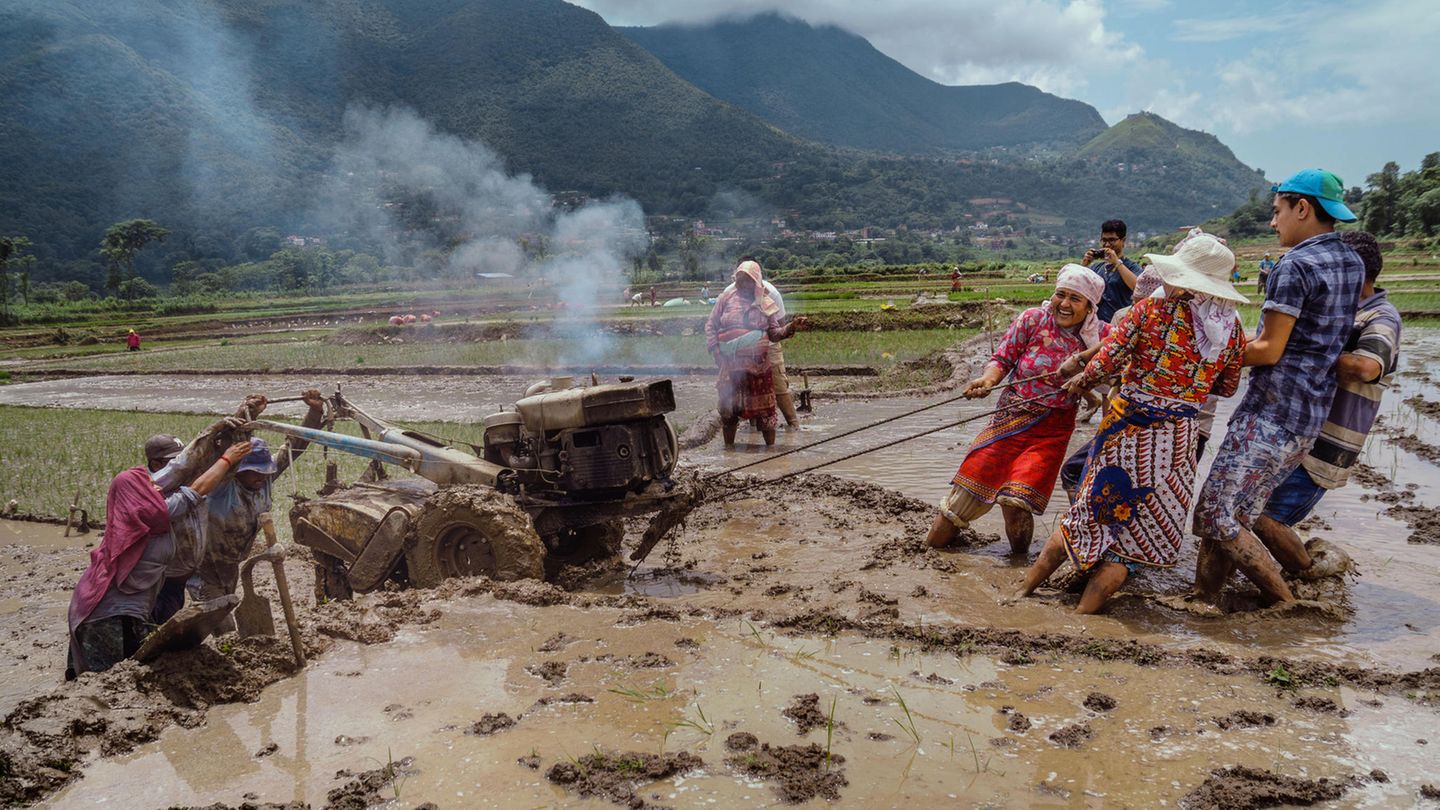 Nepal, 2. Platz, National Awards:  Landwirte ziehen während des "Ropai Jatra Festivals" einen Traktor von einem Feld zum anderen. Das Festival markiert den geschäftigsten Tag im Leben eines Reisbauern. 