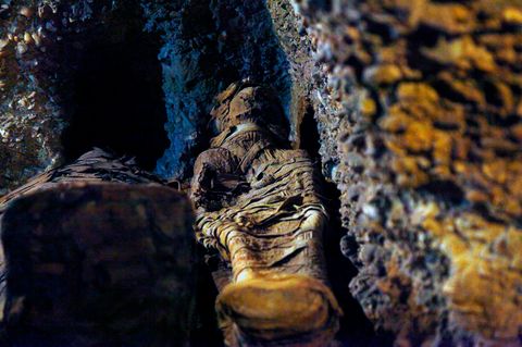 Dublin: Grabschänder enthaupten 800 Jahre alte Mumie