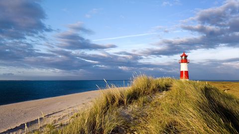 Platz 2: Ellenbogen, List auf Sylt, Schleswig-Holstein  Am „Ellenbogen“, dem nördlichsten Punkt Deutschlands, können Strandbesucher bei gutem Wetter bis zur dänischen Insel Rømø blicken. Das Naturschutzgebiet im Privatbesitz ist auch in der Hochsaison kaum überlaufen, und eignet sich daher für Erholungssuchende zum Durchatmen und Bestaunen der Flora und Fauna, wie Vögel, Robben und Krebse.