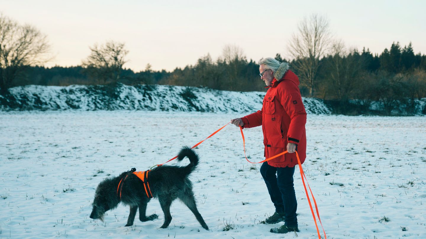 Immer der Nase nach: Archäologiehunde leisten Unglaubliches – dahinter steckt harte Arbeit