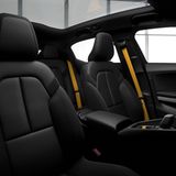 Die ockerfarbenen Gurte sind charakteristisch