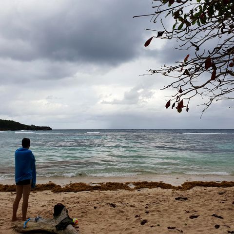 Karibik: In dieser Bucht vor Jamaica verlor er irgendwo seinen Ehering. Und so fand er ihn wieder
