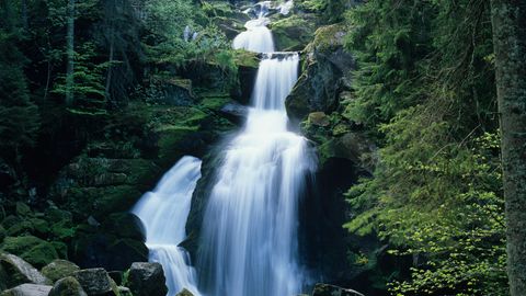 Die Triberger Wasserfälle sind durchaus beeindruckend