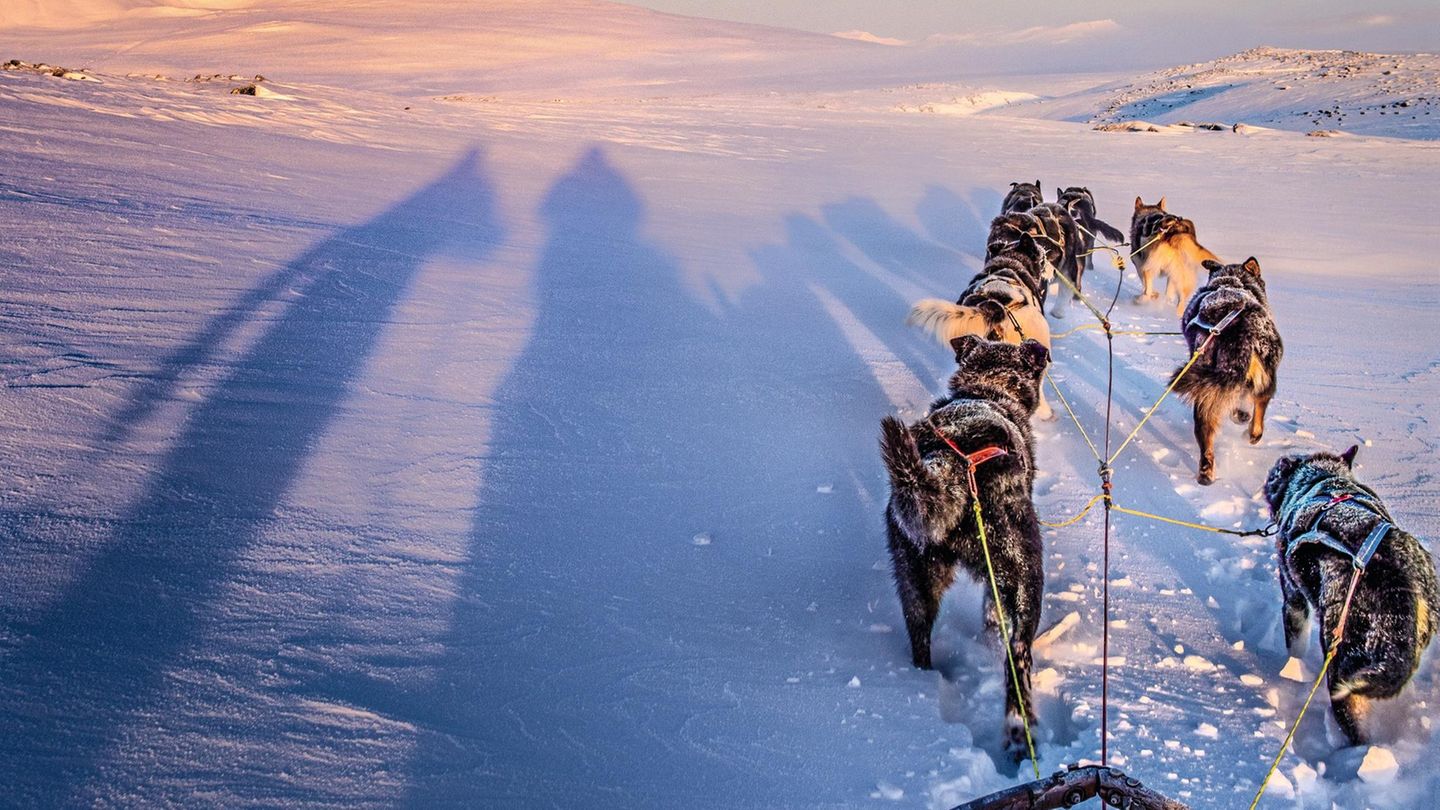 Der Dividalen-Nationalpark in Troms, eines der größten Wildnisgebiete Europas: Im Winter kommt man nur mit Hunden durch. Der Schnee in den Tälern liegt hüfthoch.