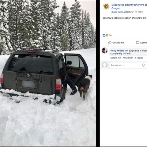 Eingeschneites Auto, daneben ein Mann und sein Hund