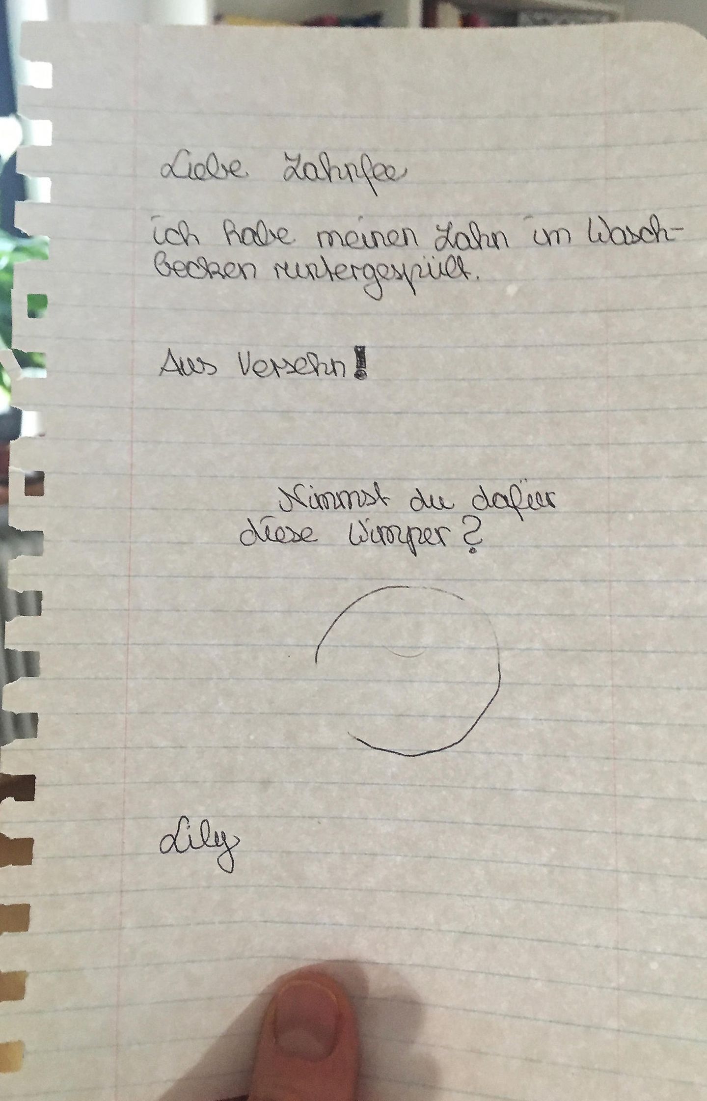 Brief an Zahnfee