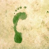 Risikofaktor für Krebs: Umweltfaktoren