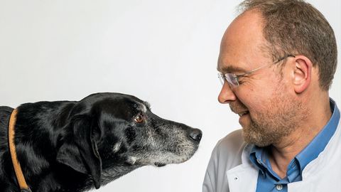 Tierliebe: Über die manchmal tödliche Liebe des Menschen zu Haustieren