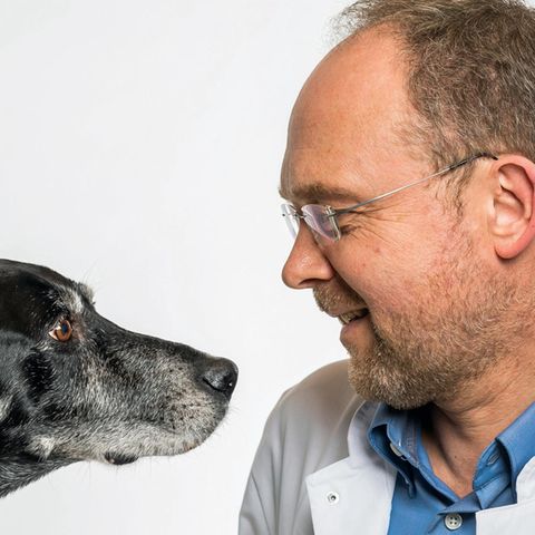 Tierliebe: Über die manchmal tödliche Liebe des Menschen zu Haustieren