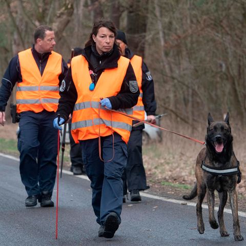 Einsatzkräfte der Polizei sind mit einem Spürhund bei Storkow im Landkreids Oder Spree unterwegs zu einem. Dort suchten Polizeibeamte auch am Samstag erneut  nach der vermissten Rebecca, auch ein Hubschrauber kam dabei zum Einsatz.