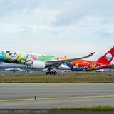 Zur Airbus-Flotte der chinesischen Fluggesellschaft mit Sitz in Chengdu gehören drei Airbus A350-900. Einer davon  steht ganz im Zeichen des Pandabären – von der Bemalung des Rumpfes über die Schürzen der Flugbegleiter bis zu den verabreichten Cup Cakes im Panda-Look.