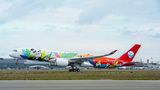 Zur Airbus-Flotte der chinesischen Fluggesellschaft mit Sitz in Chengdu gehören drei Airbus A350-900. Einer davon  steht ganz im Zeichen des Pandabären – von der Bemalung des Rumpfes über die Schürzen der Flugbegleiter bis zu den verabreichten Cup Cakes im Panda-Look.