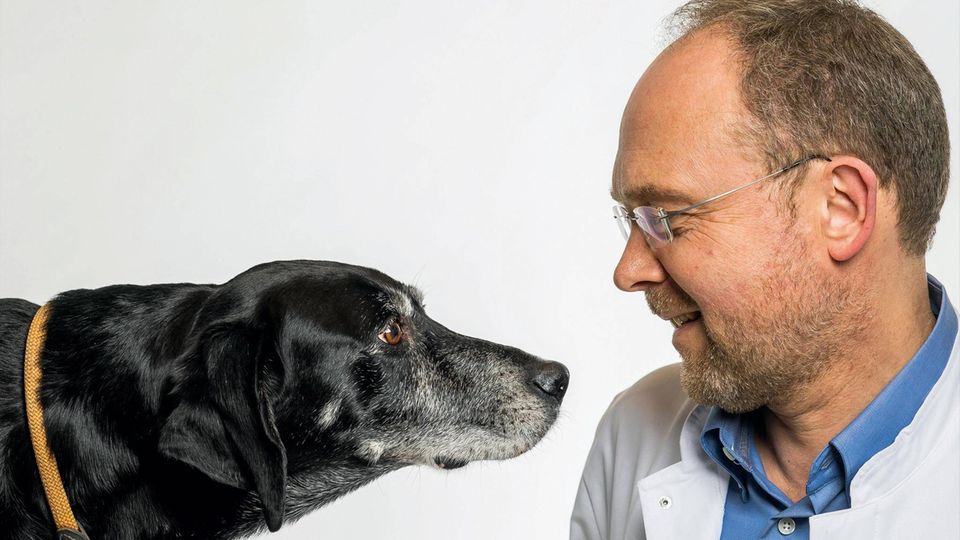 Berlin Tierpathologie: stern Interview mit Achim Gruber Berlin Tierpathologie: stern Interview mit Achim Gruber