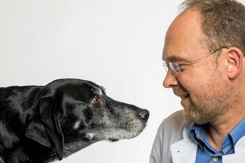 Berlin Tierpathologie: stern Interview mit Achim Gruber