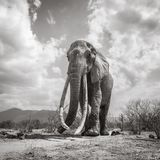 Von unten aufgenommen