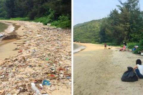 Die #trashtag-Challenge inspiriert Menschen weltweit mit anzupacken.