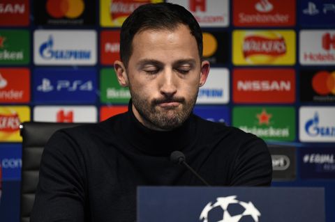 Eines muss man ihm lassen: Schalke-Trainer Domenico Tedesco steht immer noch Rede und Antwort