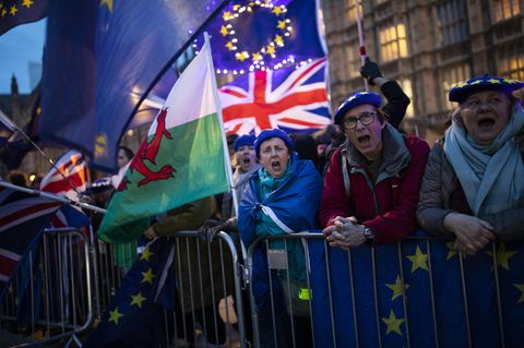 Brexit Gegner protestieren vor den Houses of Parliament in London