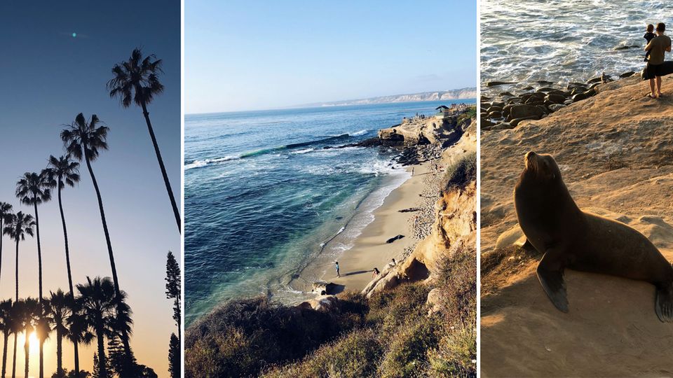 USA-Roadtrip: Der kalifornische Küstenort La Jolla