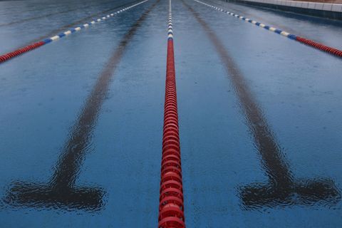 Hamburg News