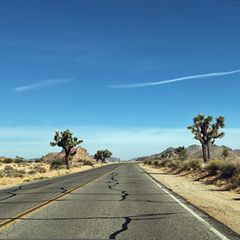 USA-Roadtrip: Auf einem USA-Roadtrip entdeckst du die unterschiedlichsten Landschaften