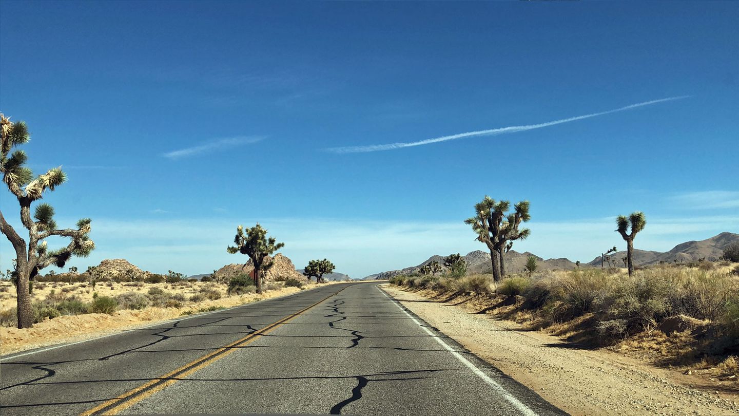 USA-Roadtrip: Auf einem USA-Roadtrip entdeckst du die unterschiedlichsten Landschaften