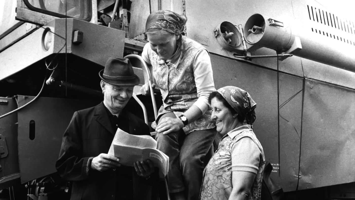 Emanzipiert und stark: Frauen aus der DDR DDR-Landwirtschaft: Hälfte der Bediensteten waren Frauen In der Landwirtschaft der DDR und im genossenschaftlich organisierten Eigentum von LPGs waren Mitte der 70er Jahre etwa 340.000 Frauen beschäftigt, das entsprach fast der Hälfte aller Werktätigen in diesem Bereich. 20.000 Mähdrescher und 150.000 Traktoren wurden deshalb bei der Ernte nicht nur von Männern, sondern auch von Frauen und Auszubildenden bedient. Der Mähdrescher E 512 ‒ hier auf dem Feld einer Genossenschaft in Waren (Müritz) ‒ zählte zu den leistungsfähigsten Maschinen seiner Art im Ostblock.