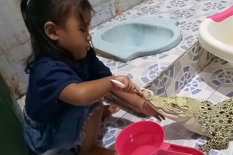 Kind säubert Krokodil die Zähne