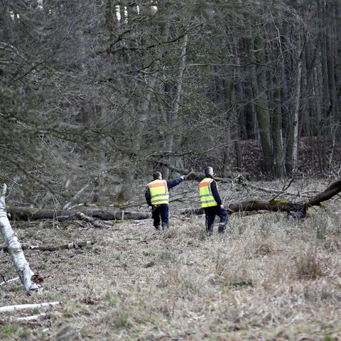 Polizisten durchsuchen ein Waldstück