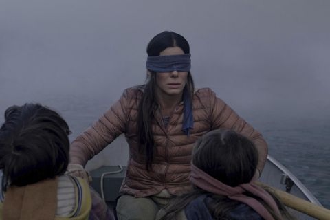 Der Netflix-Film "Bird Box"