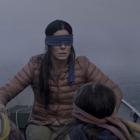 Der Netflix-Film "Bird Box"