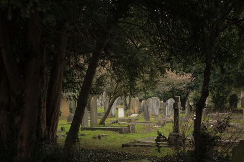 Grabsteine auf einem Friedhof