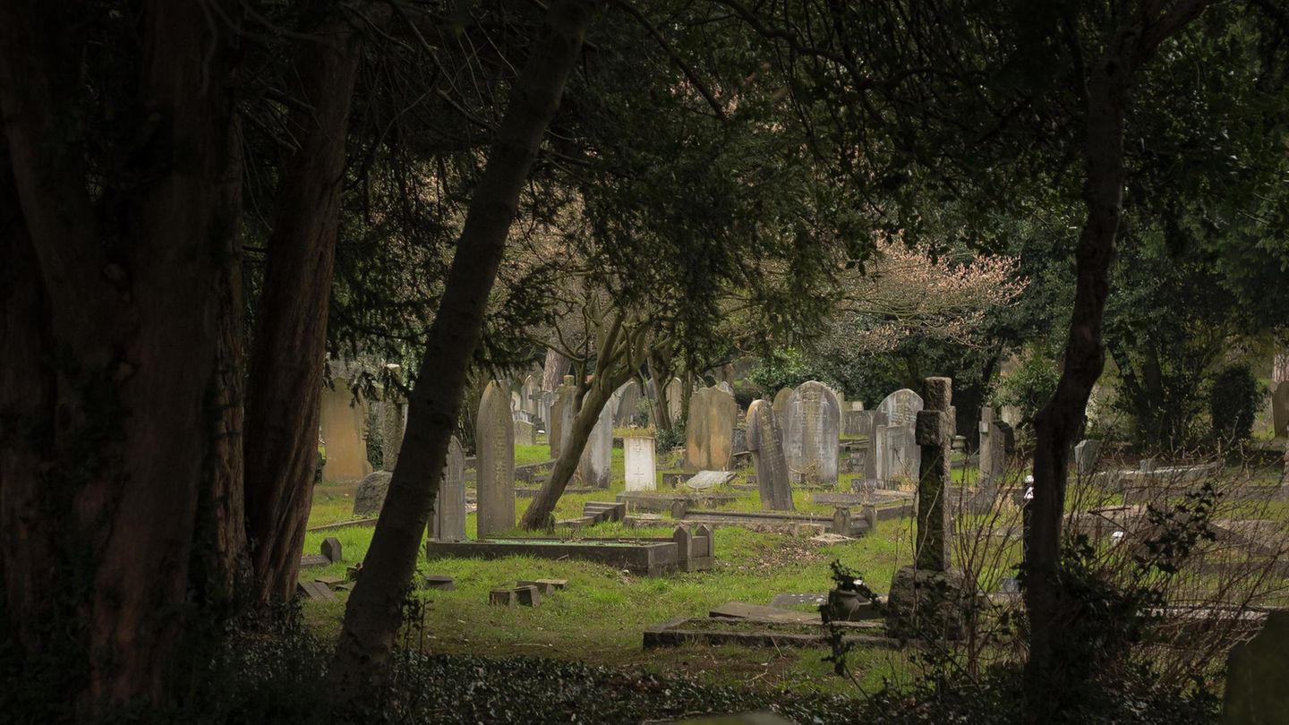 Grabsteine auf einem Friedhof