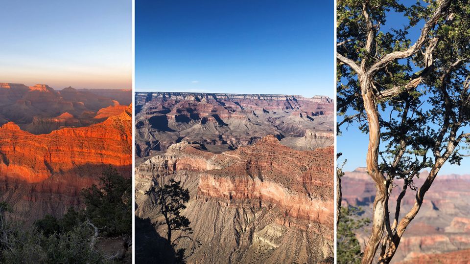 USA-Roadtrip: Am Grand Canyon verschlägt es dir den Atem