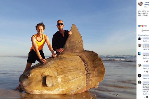 Hunter und Steven Jones mit einem riesigen Mondfisch