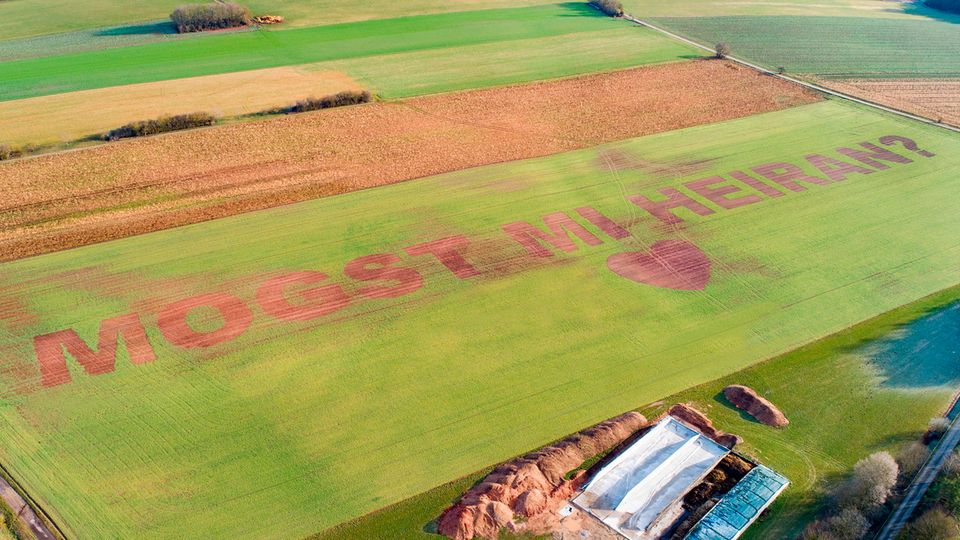 nachrichten deutschland - heiratsantrag in feld