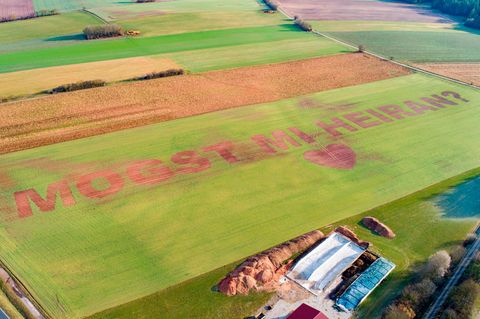 nachrichten deutschland - heiratsantrag in feld