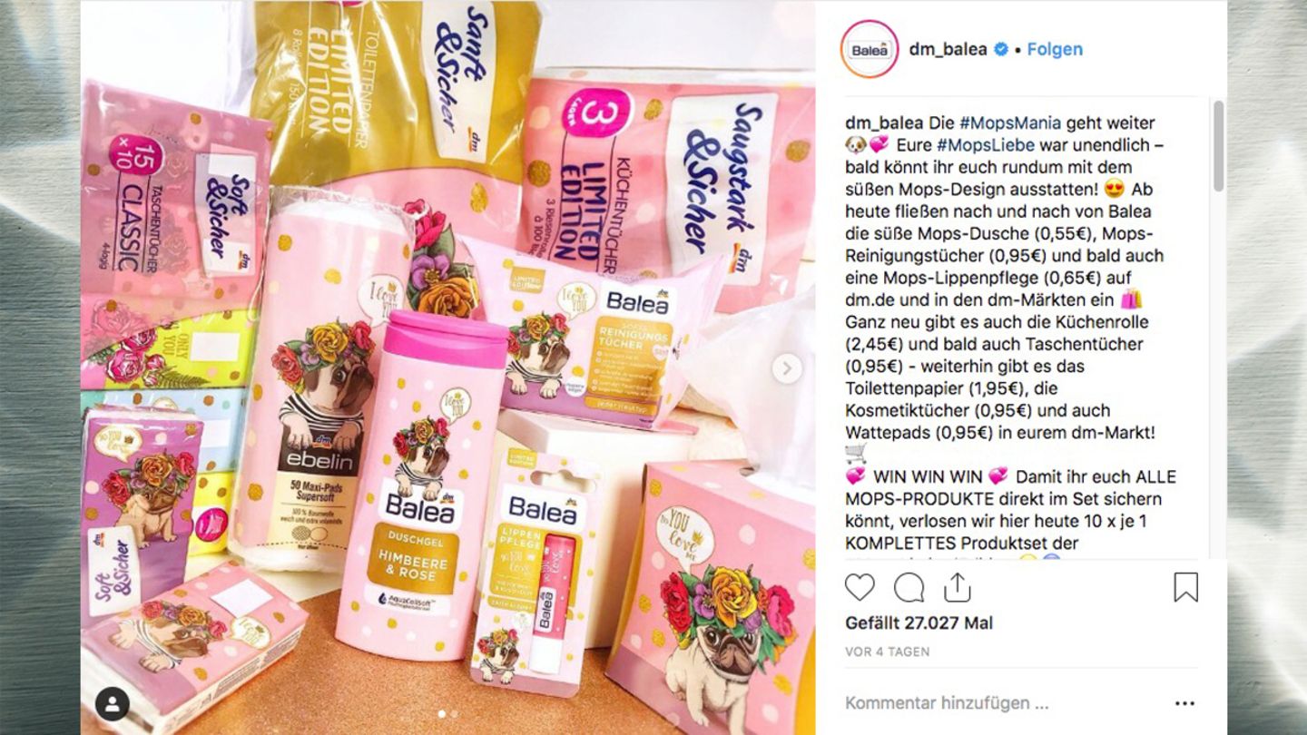 dm-Klopapier mit Mops-Aufdruck: Jetzt gibt es ein ganzes Sortiment