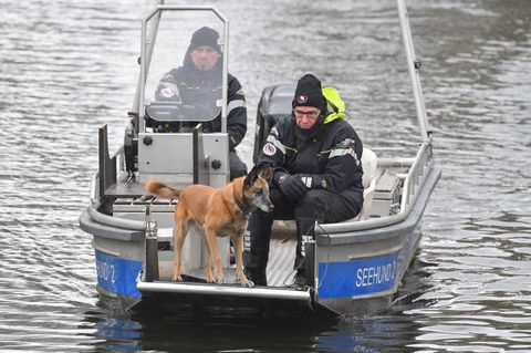 Im Bug eines Polizei-Bootes steht Hund und schnüffelt über der Wasseroberfläche