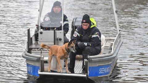 Im Bug eines Polizei-Bootes steht Hund und schnüffelt über der Wasseroberfläche