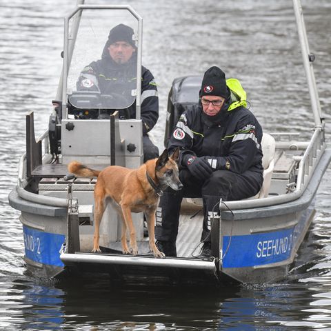 Im Bug eines Polizei-Bootes steht Hund und schnüffelt über der Wasseroberfläche