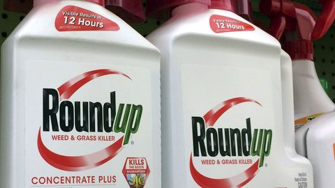 Glyphosatmittel Roundup von Monsanto, der US-Konzern gehört seit vergangenem Jahr zu Bayer