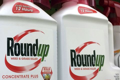 Glyphosatmittel Roundup von Monsanto, der US-Konzern gehört seit vergangenem Jahr zu Bayer