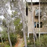 Das kleinere Haus streckt sich kühn in die Höhe - man lebt wie in einem Baumhaus.