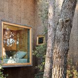 Die Hülle aus Kork passt perfekt in die lockere Bewaldung der Umgebung.