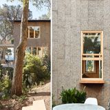 In der Ferne blinkt das Meer durch den lichtdurchfluteten Wald.