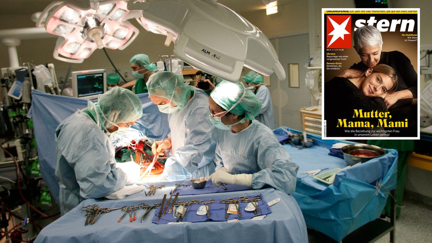 Neue stern-Serie: Organspende - Würden Sie Ihr Herz verschenken?