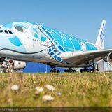 Der erste Airbus A380 der ANA trägt eine von der hawaiianischen Meeresschildkröte (Honu) und dem blauen Himmel inspiriertes Design