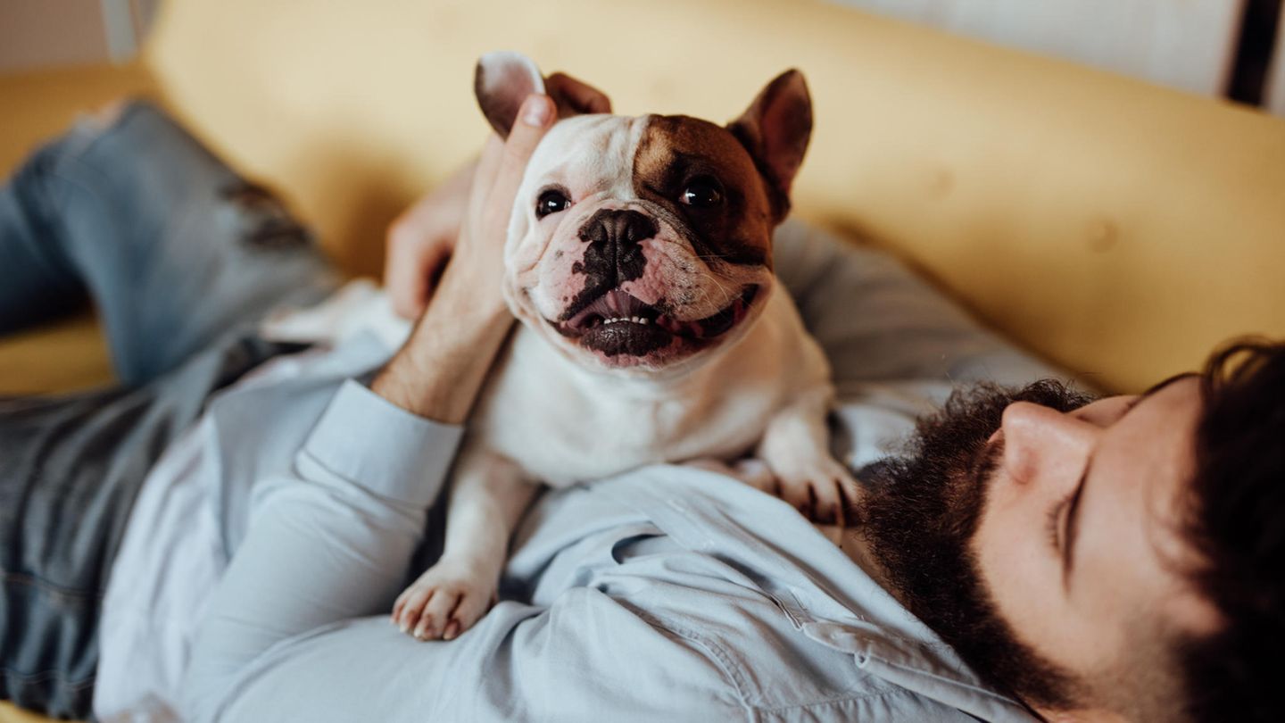 Mann mit Hund